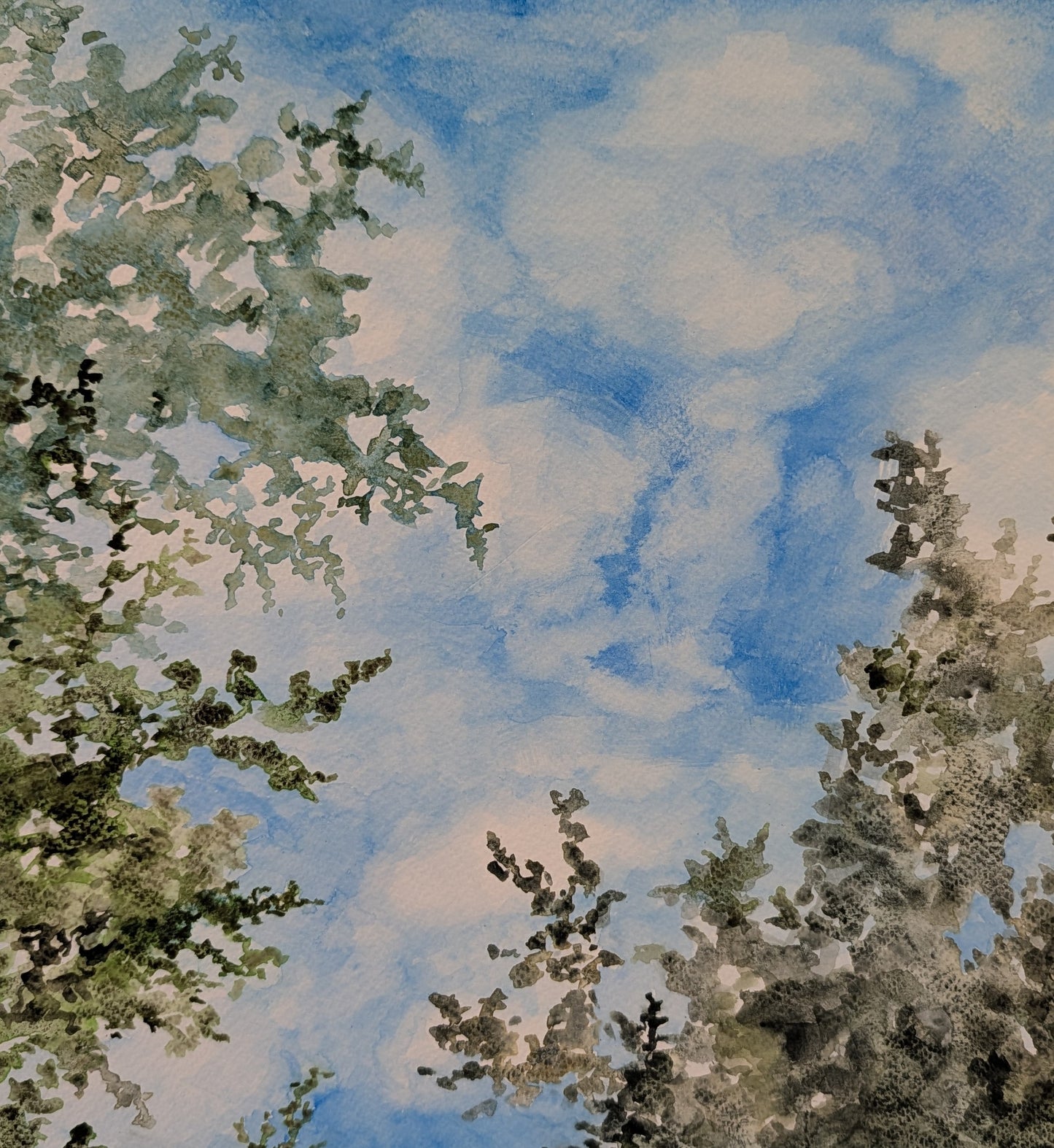 Day Dream View ll