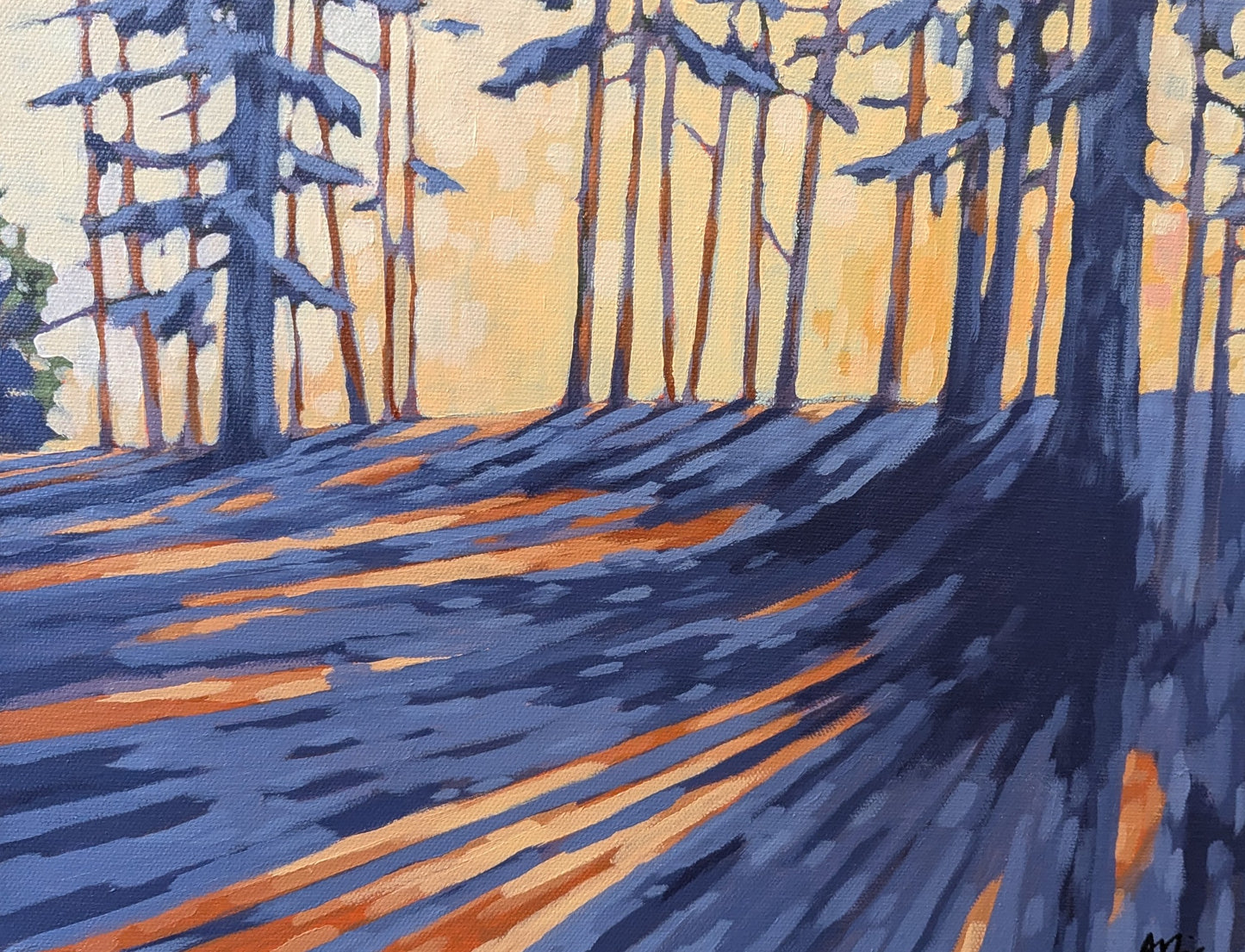 Algonquin Sunset