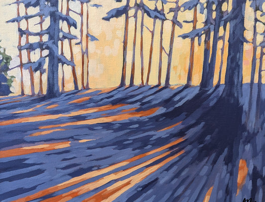 Algonquin Sunset