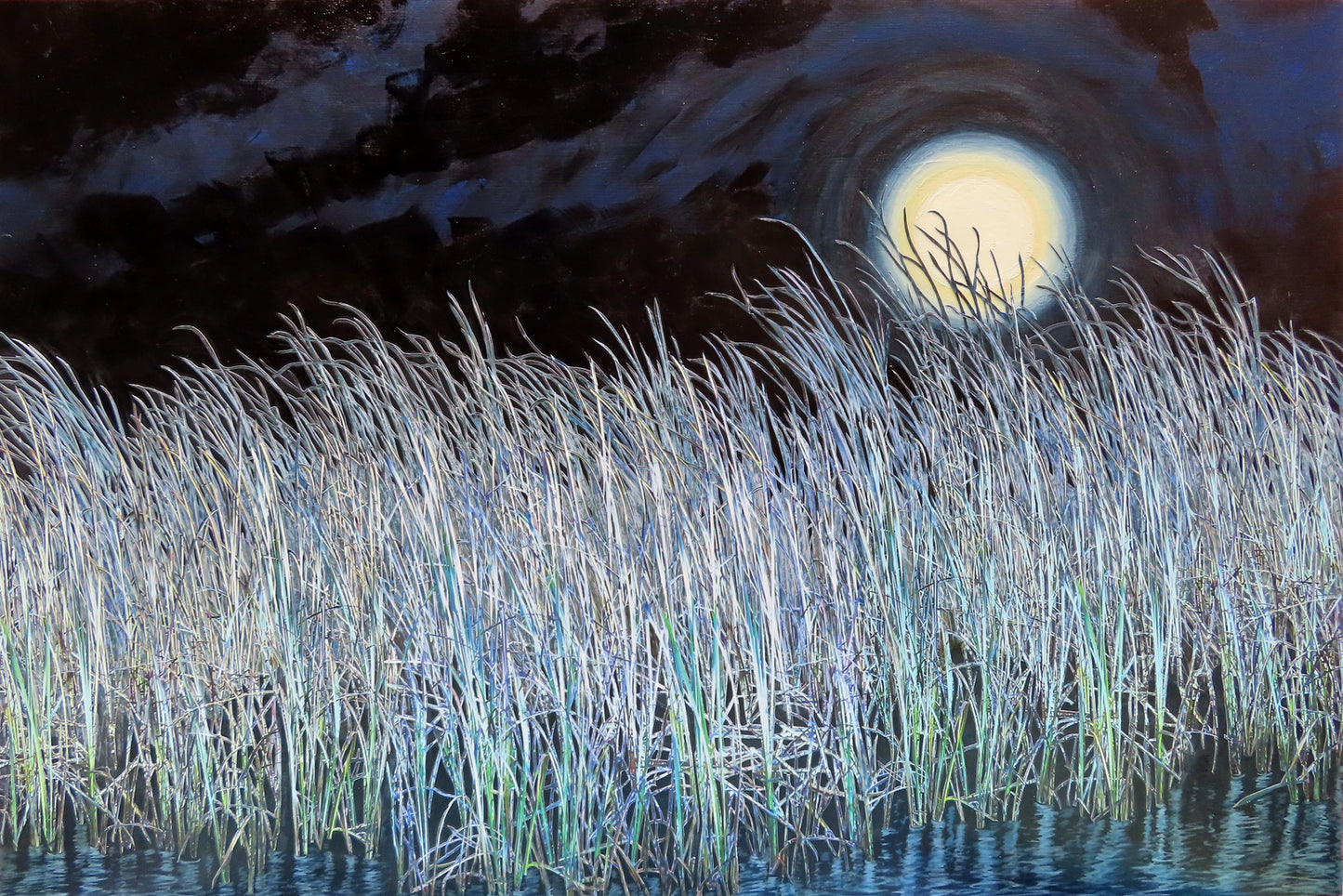 Marsh by Moonlight