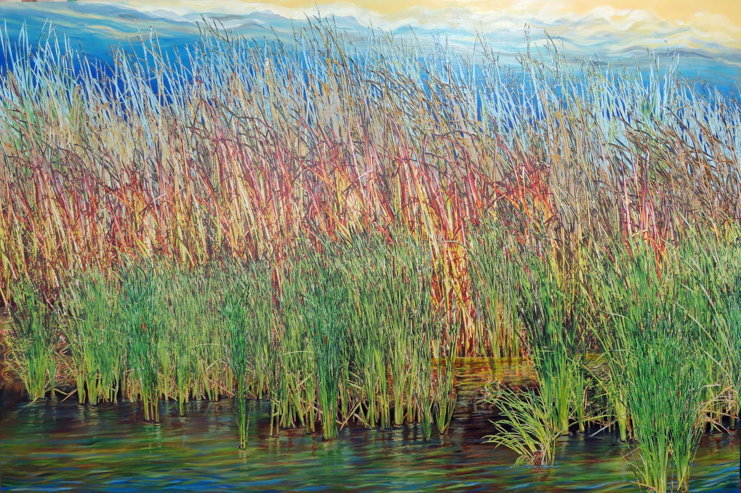 Seasons of the Marsh