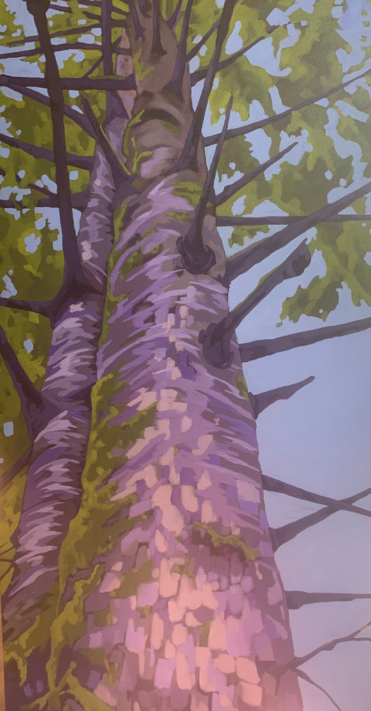 Big Spruce