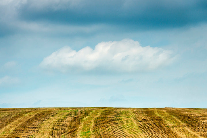 A Storm of Change