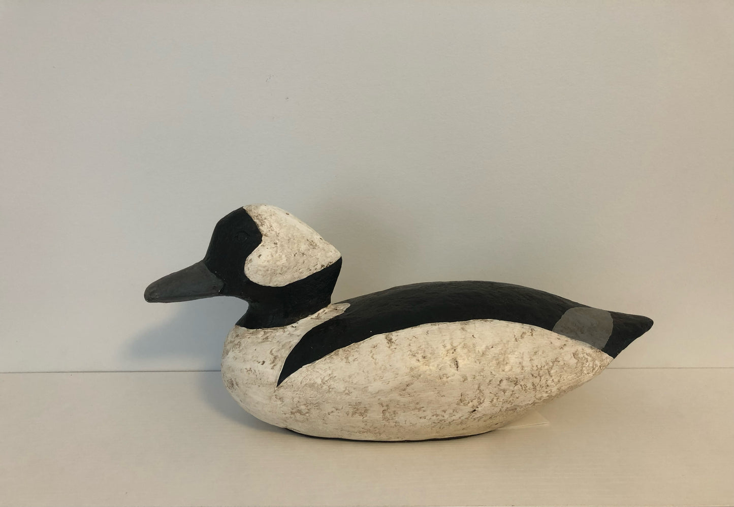 Bufflehead