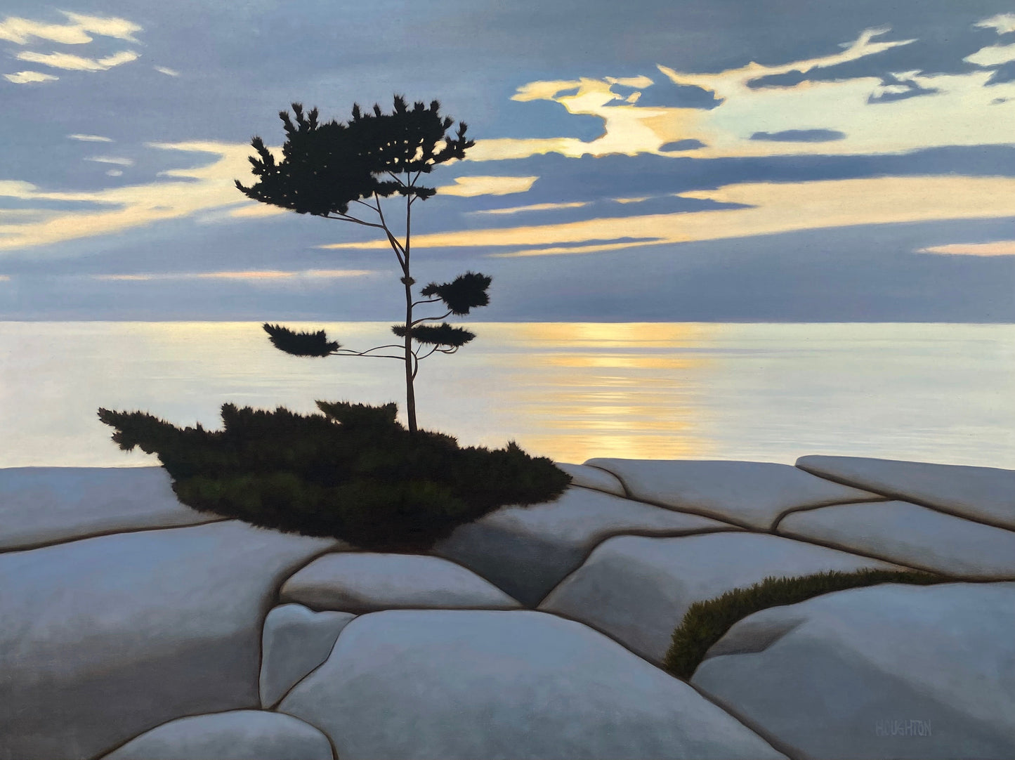 Georgian Bay Pine