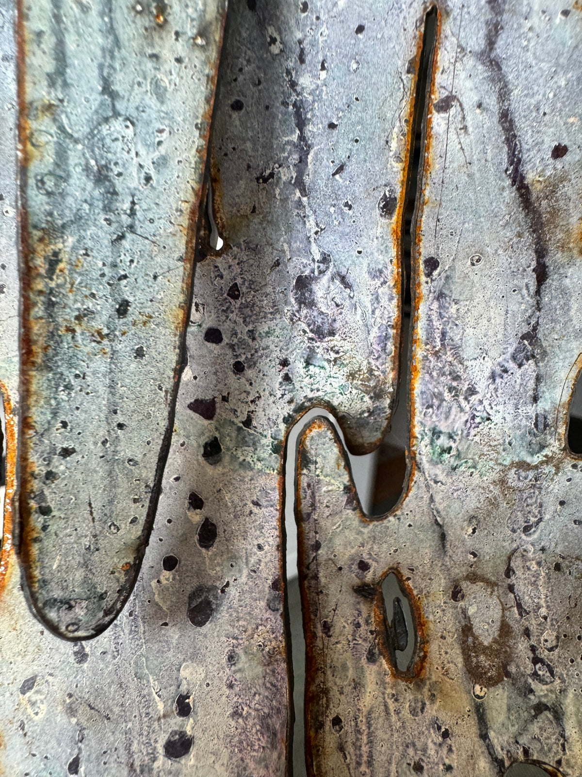 Lichen # 5