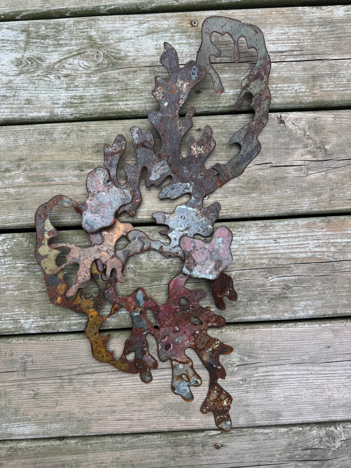 Lichen SMALL