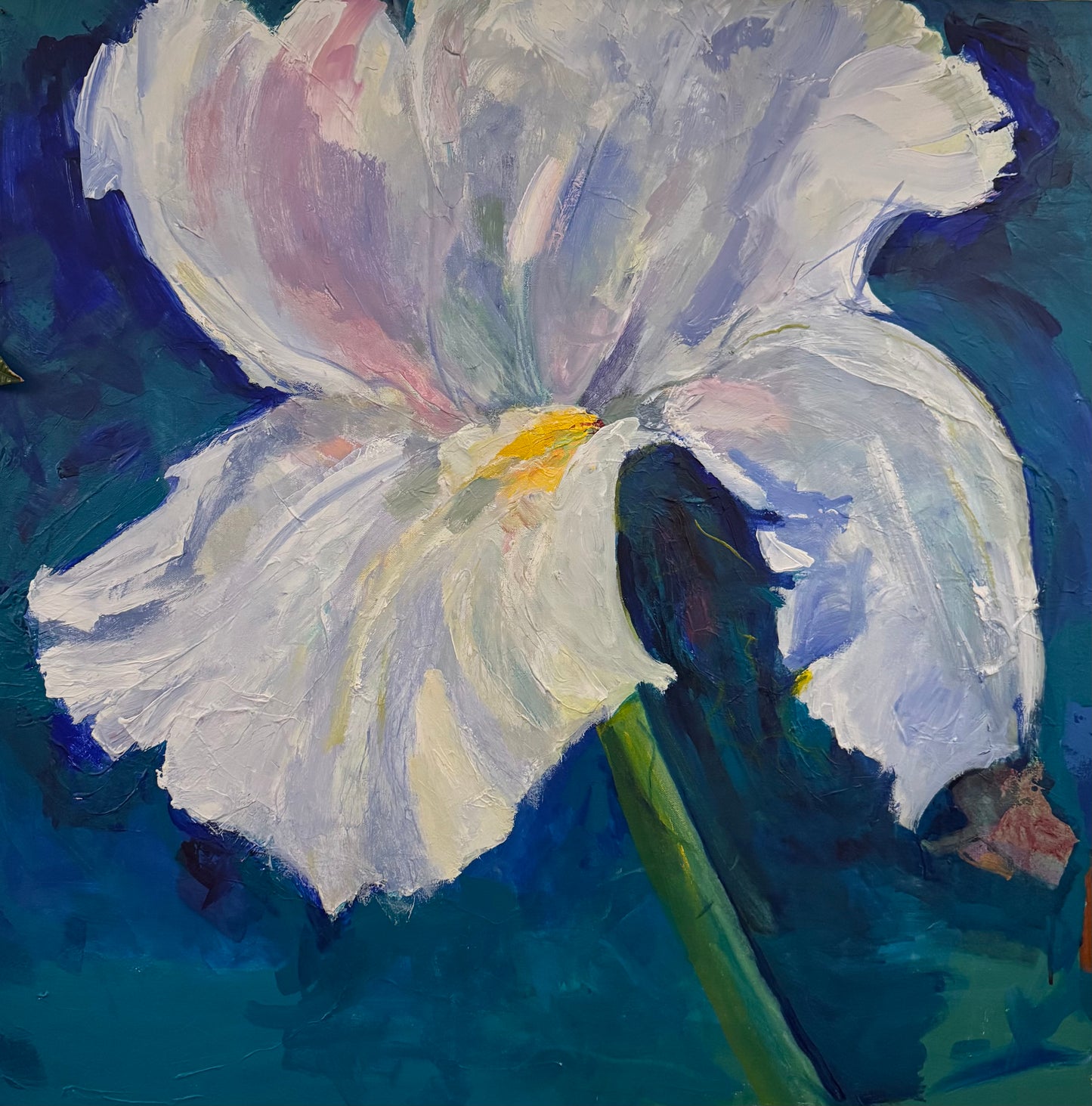 Sue's Flower (Iris)