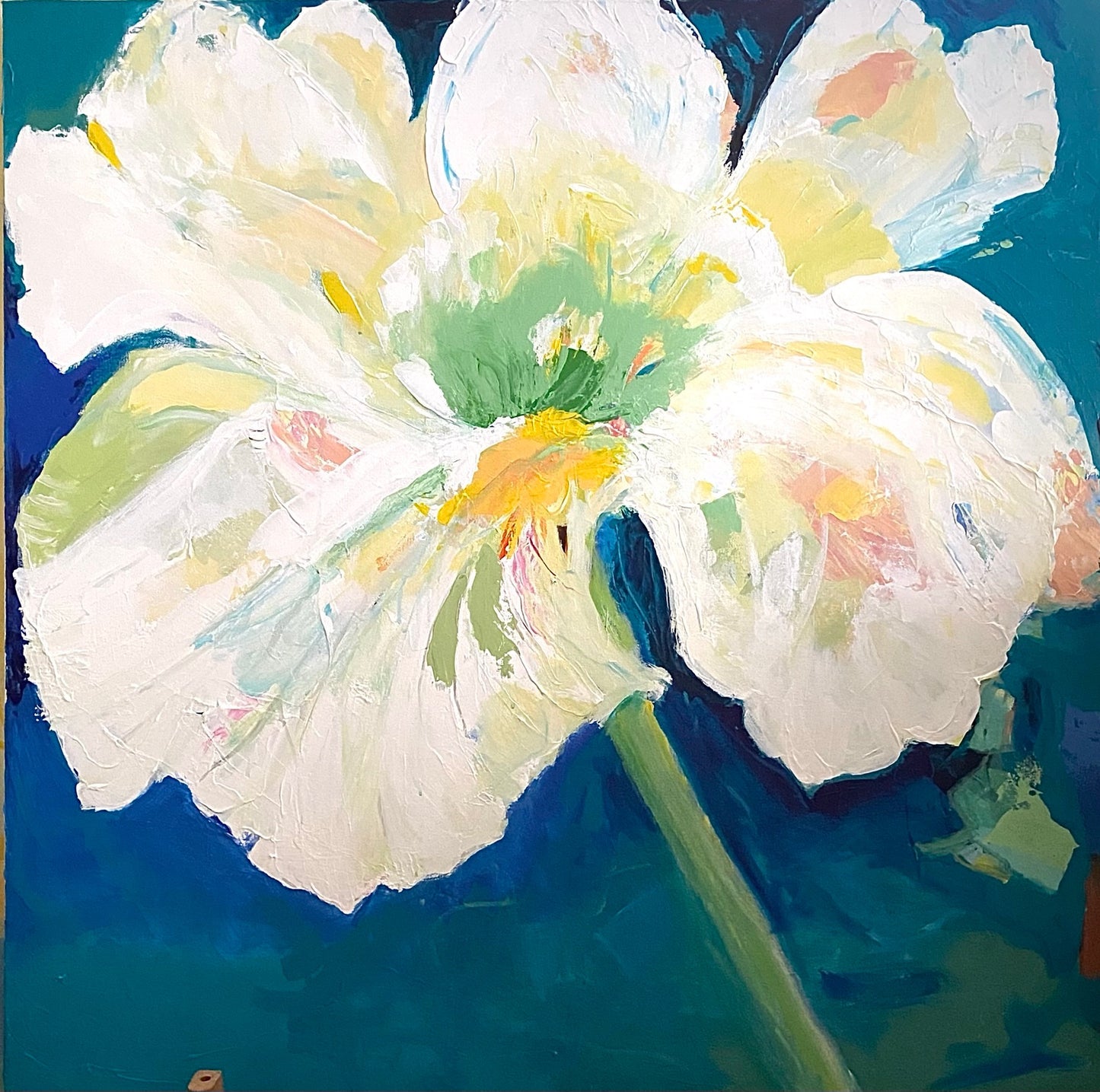 Sue's Flower (Iris)
