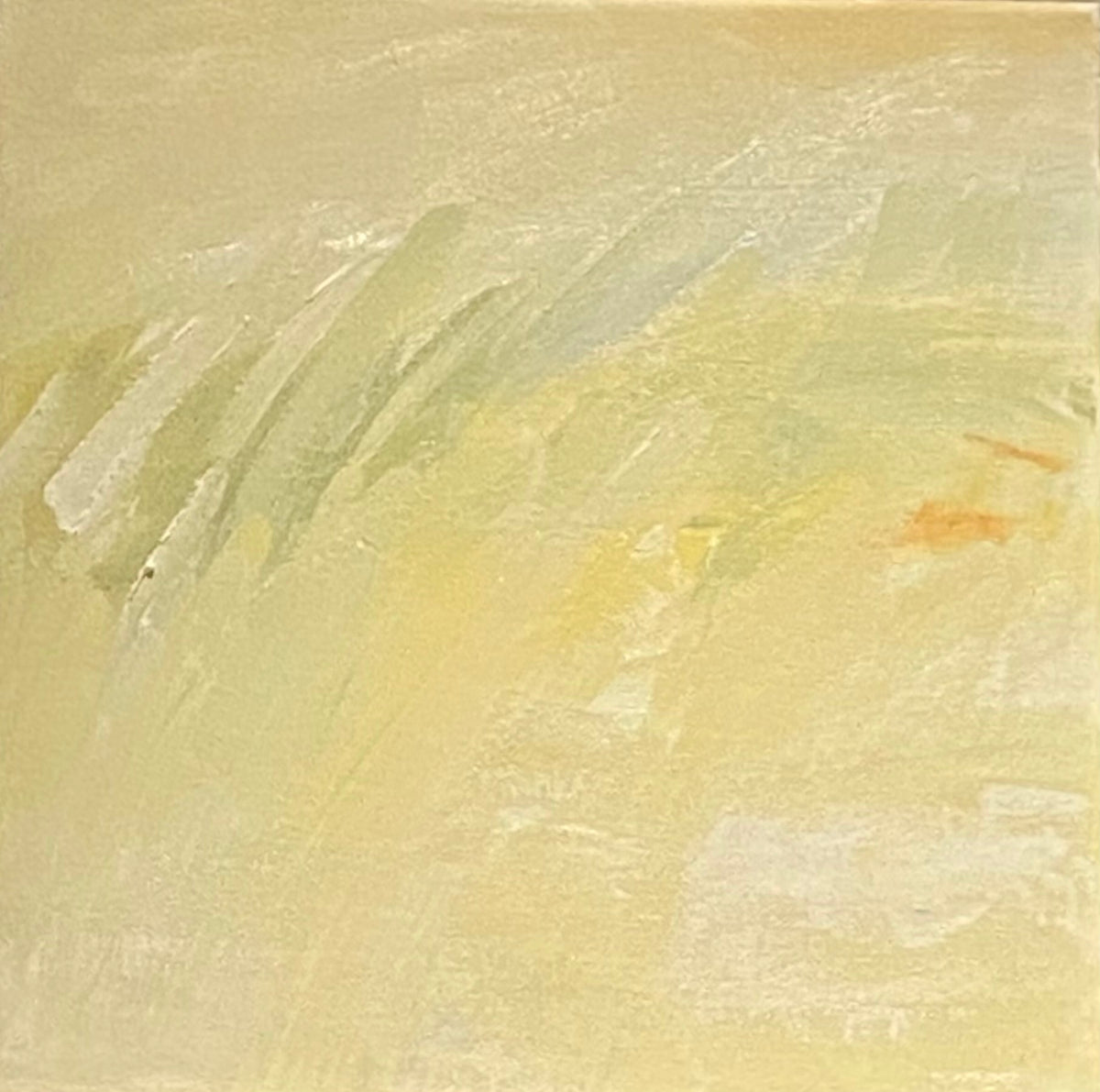 Evening Light