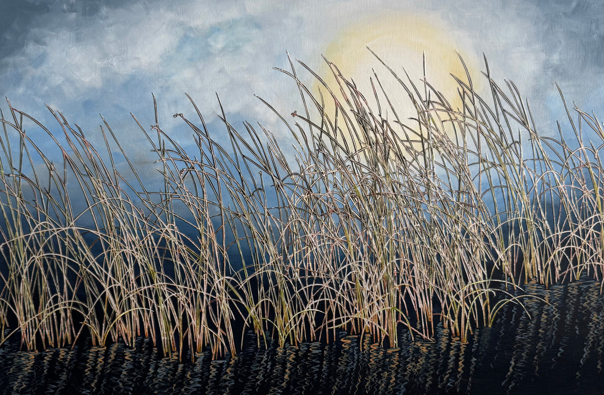 Marsh Sunrise