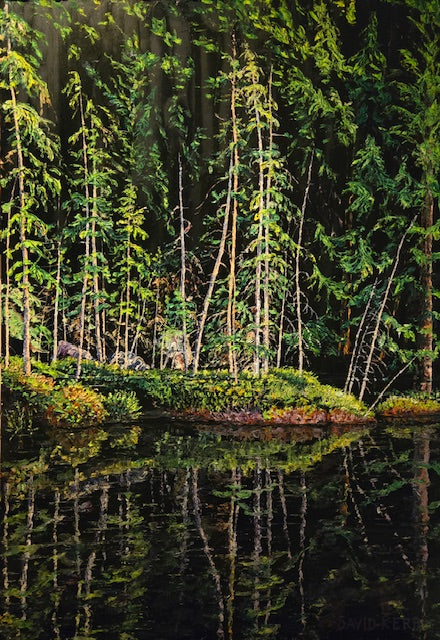 Green in the Deep Woods