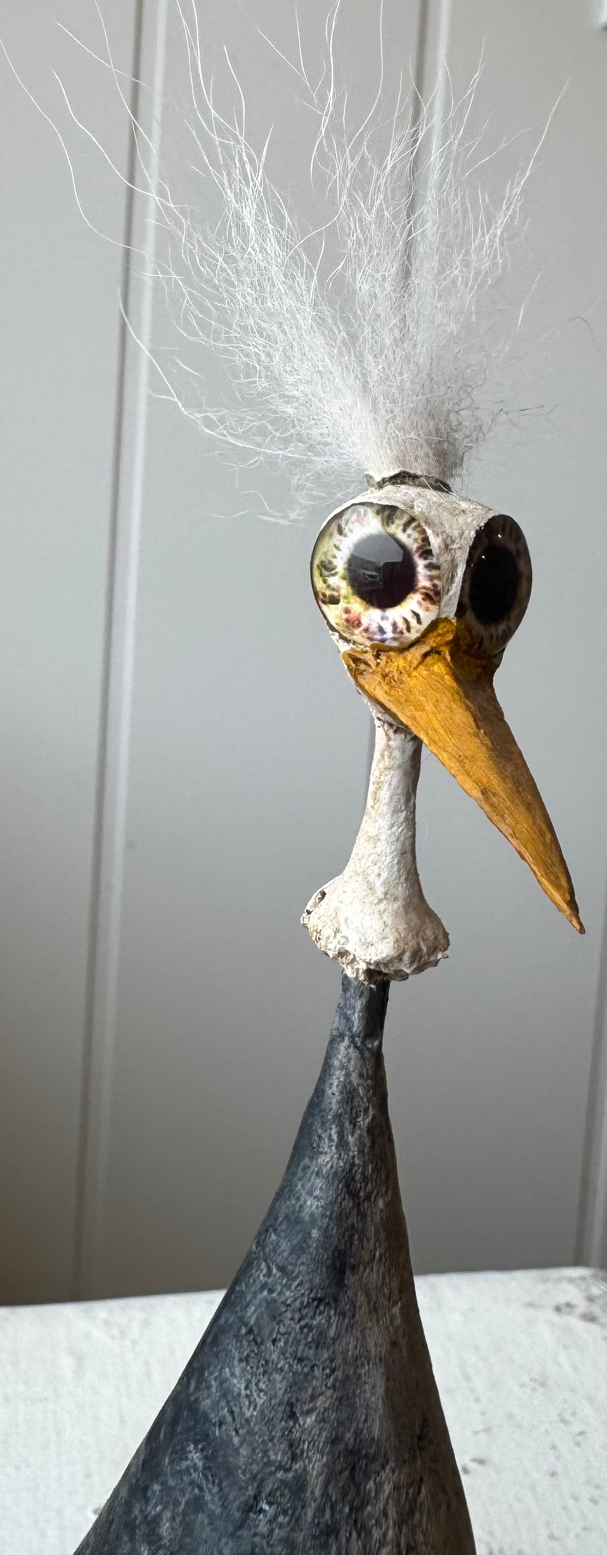 Jim: Big Beaked Bird