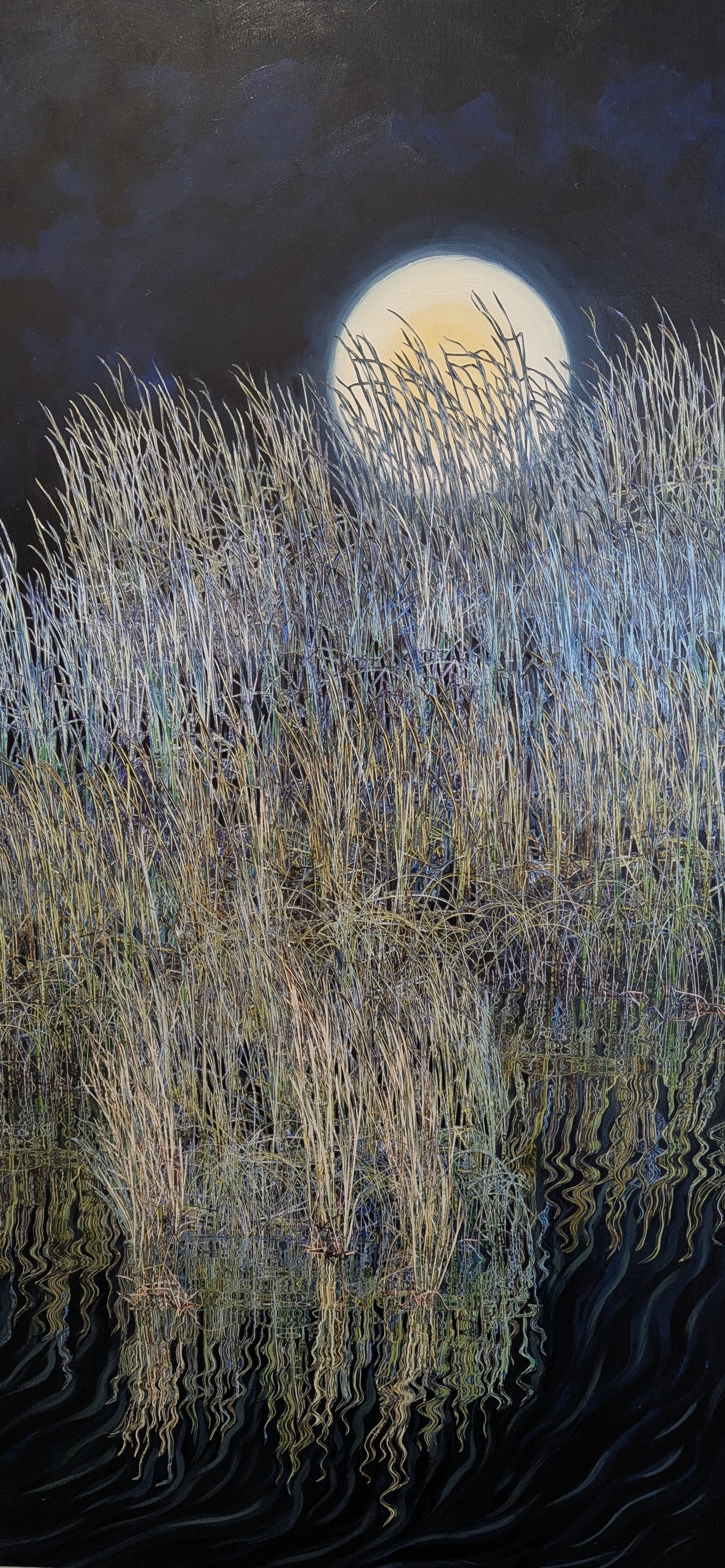 Imagine the Marsh Light