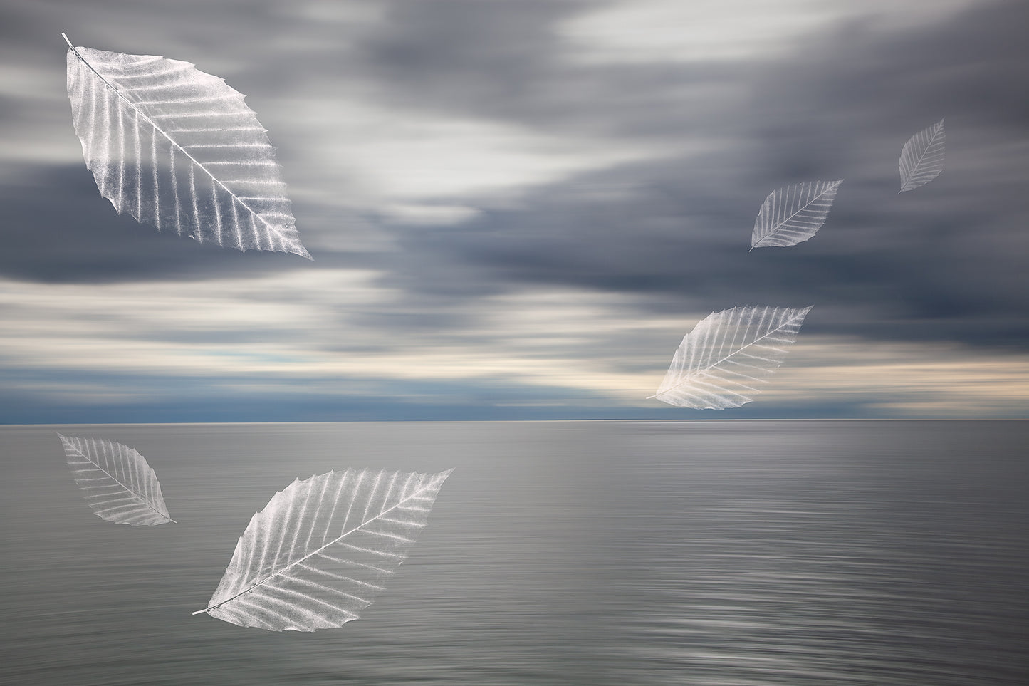 Impermanence #10