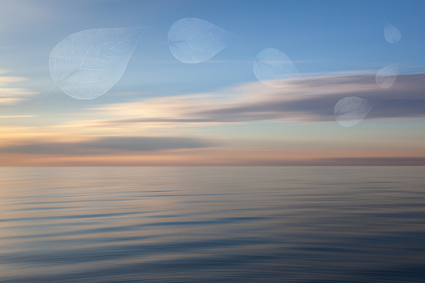 Impermanence #13