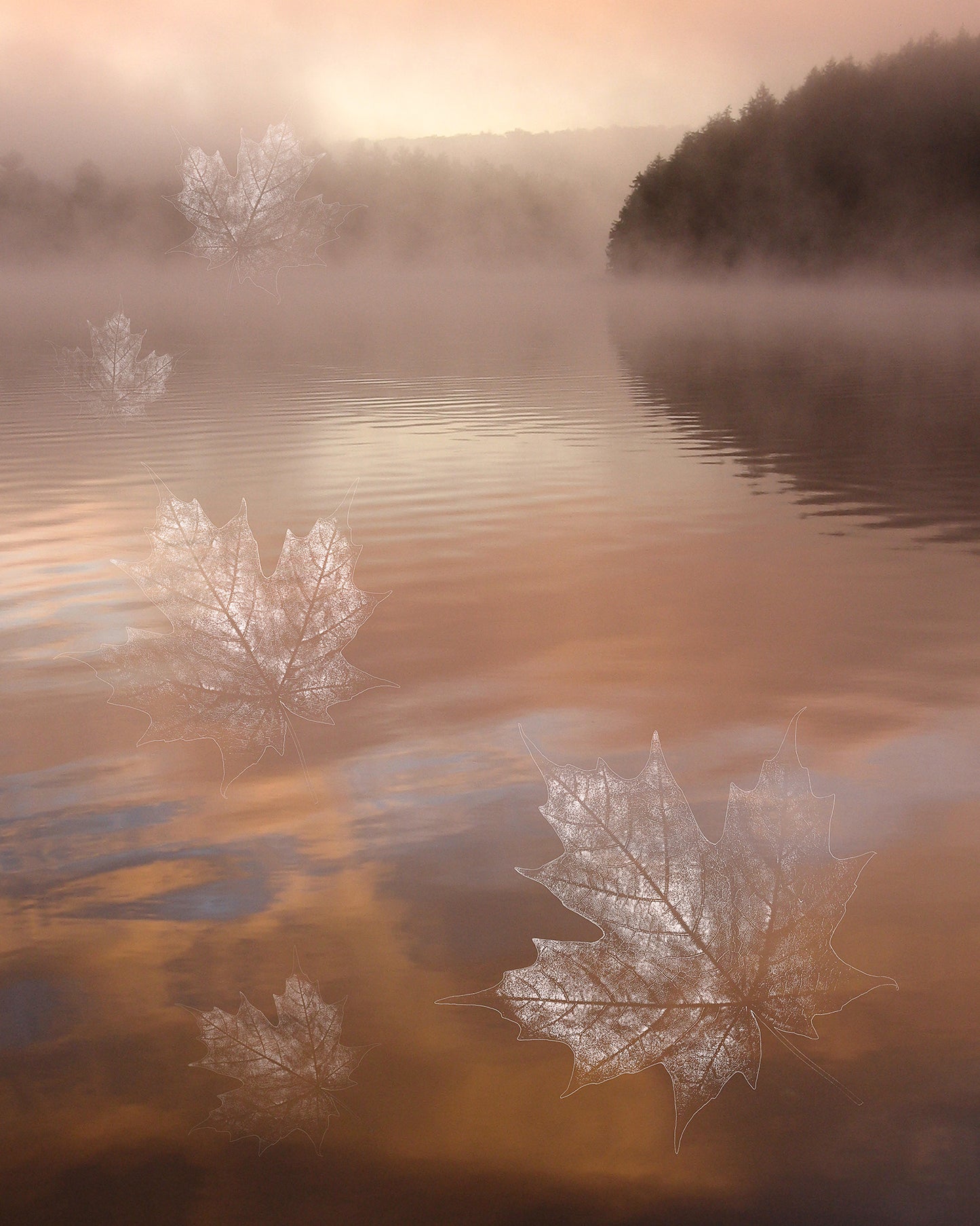 Impermanence #9