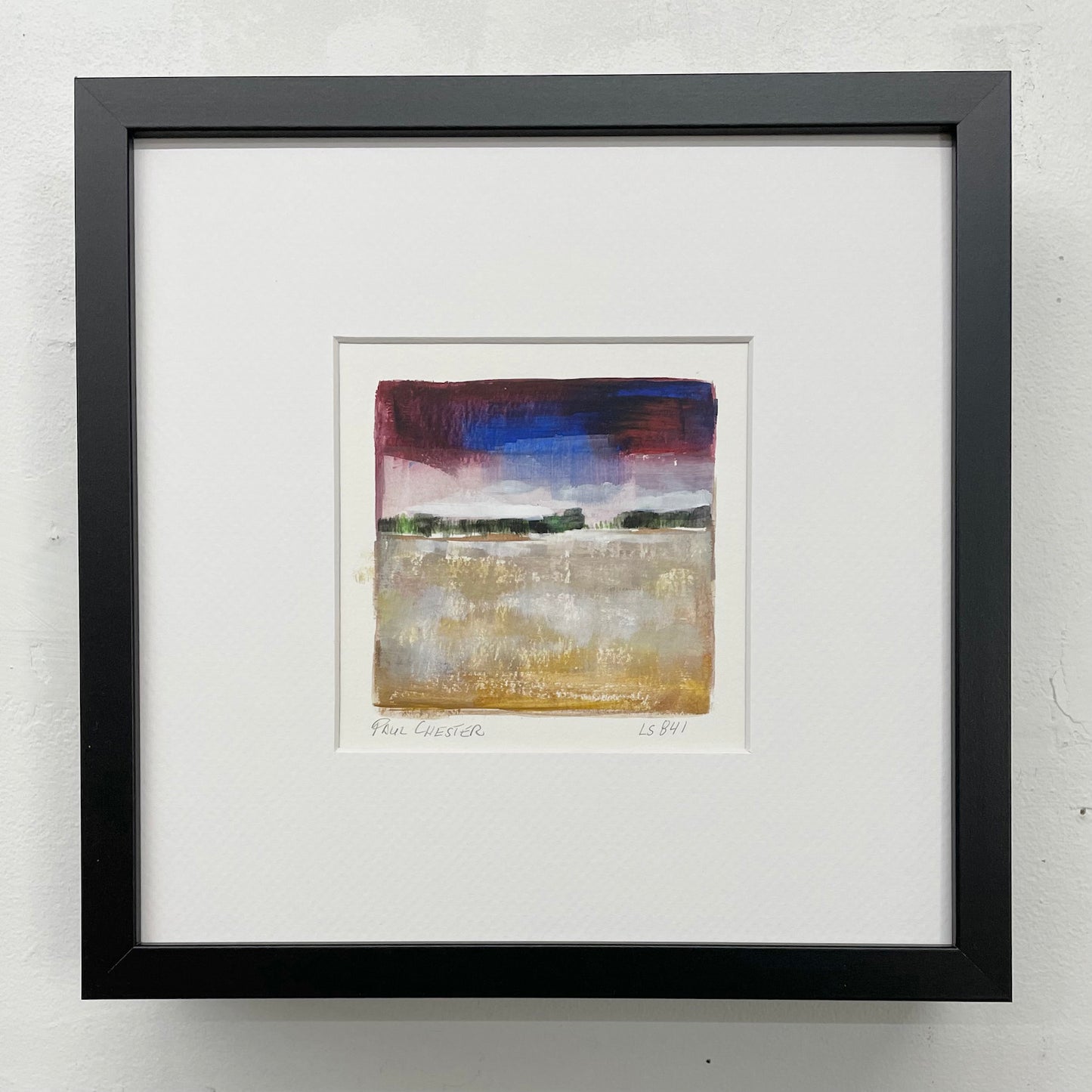 Lanscape Study 841