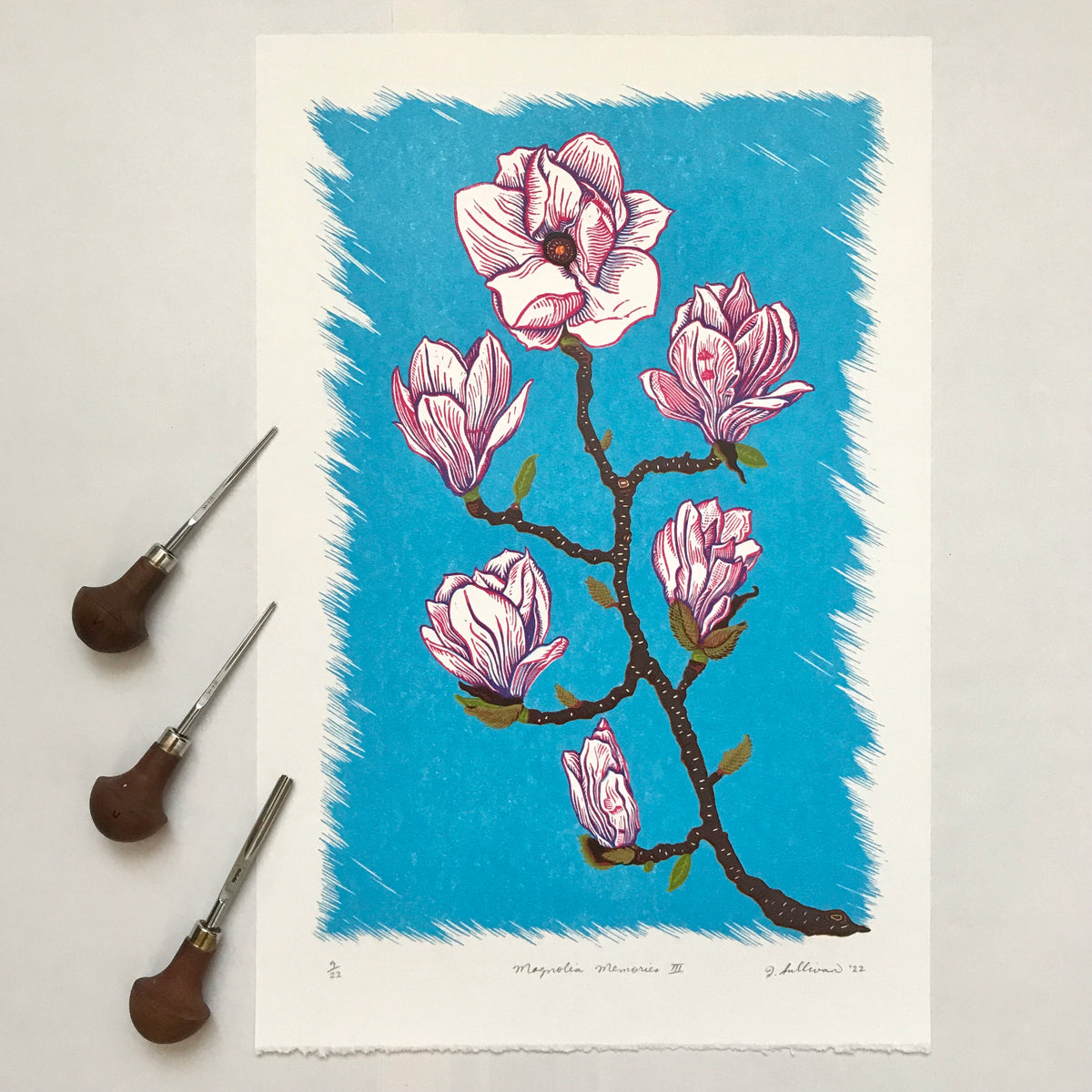 Magnolia Memories III