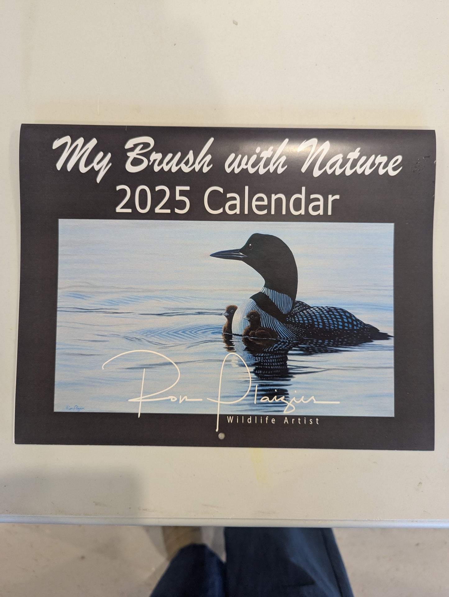 Calendar by Ron Plaizier