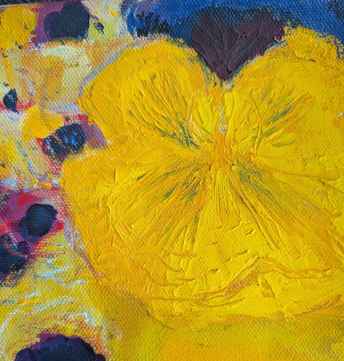 Pansy