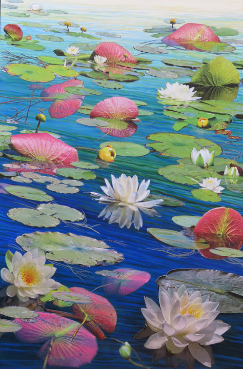 Pads Up My Lily Friends, An Ill Wind Bloweth From the South