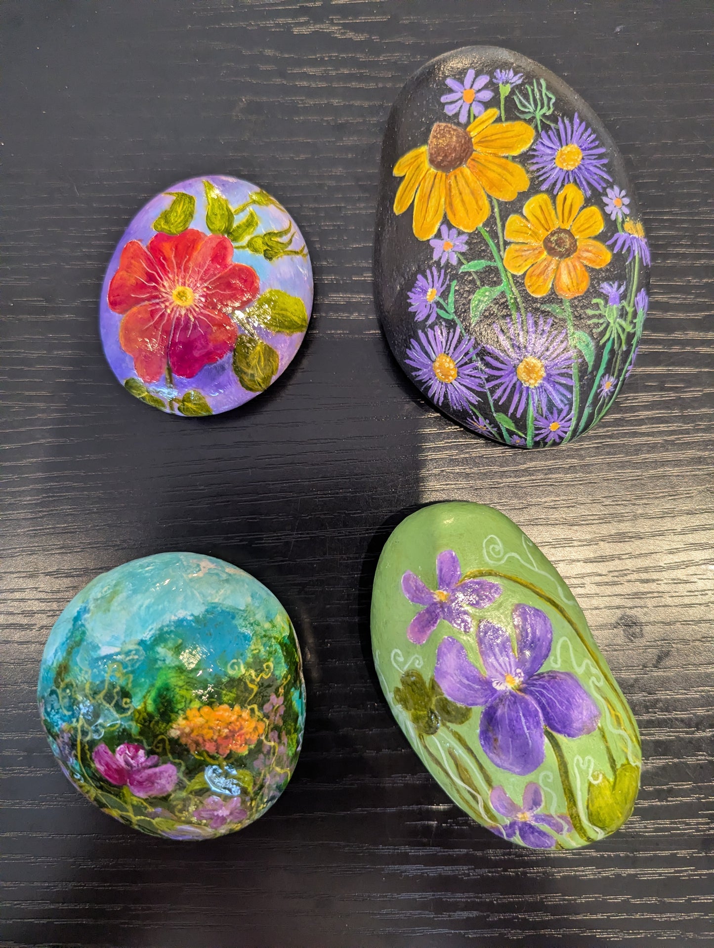 Hand Painted Rocks