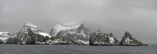 Penguin Colony in the South Shetlands