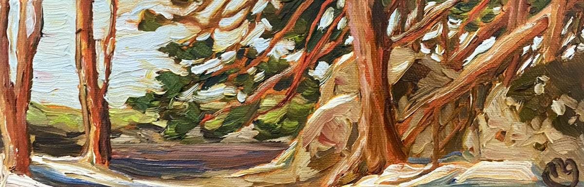 Plein Air Study, Burleigh Falls