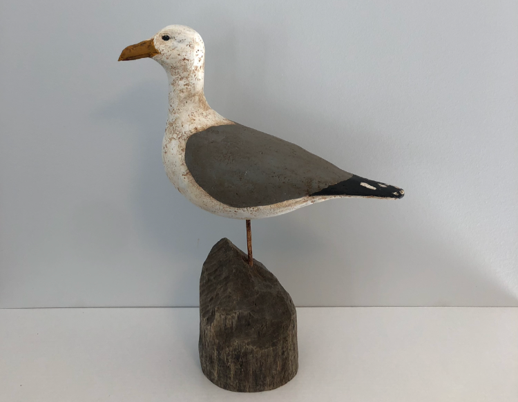 Seagull