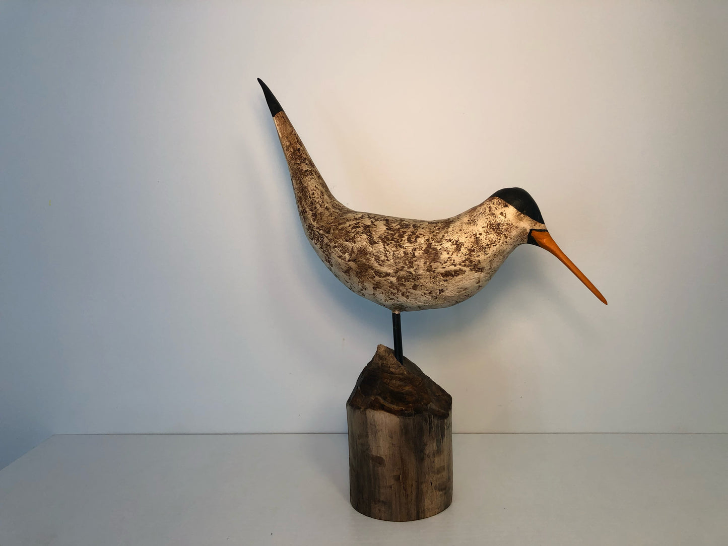 Tern #2