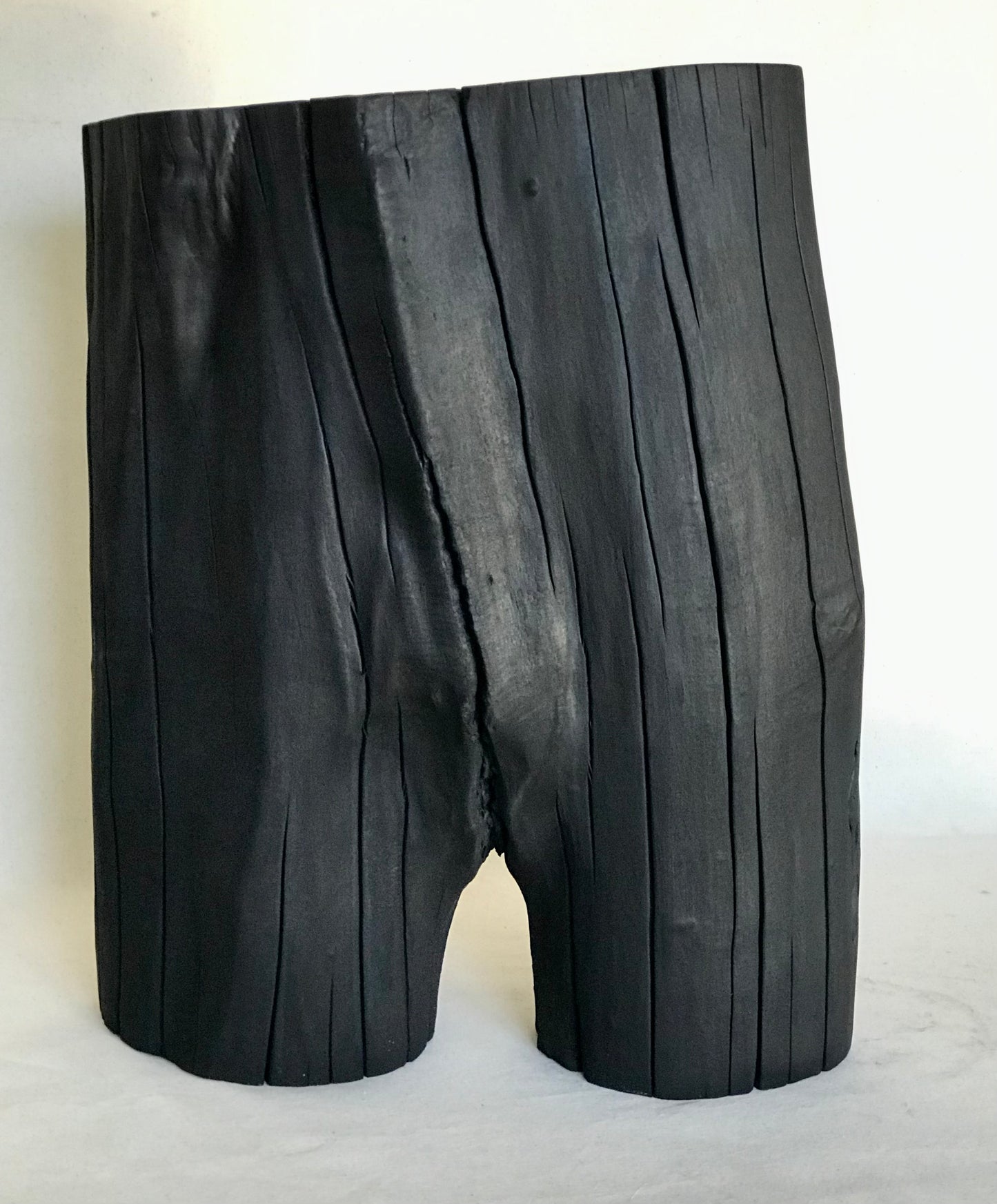 Torso