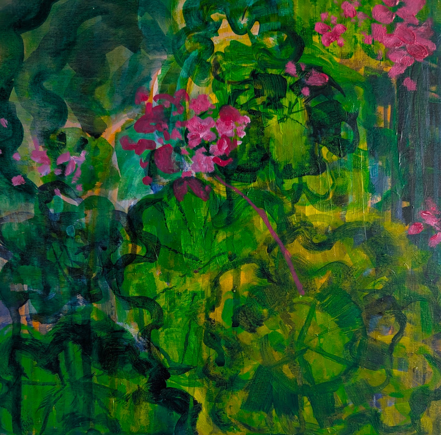 Geranium Study