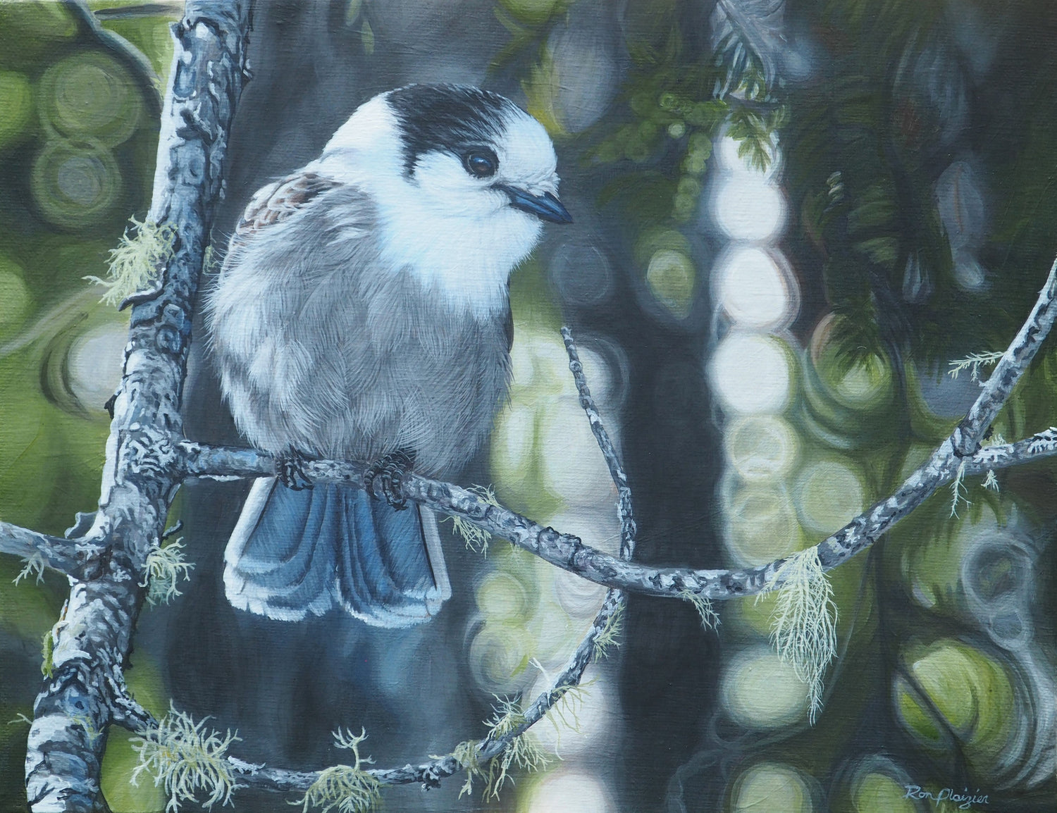 Wild Threads & Woodland Whispers