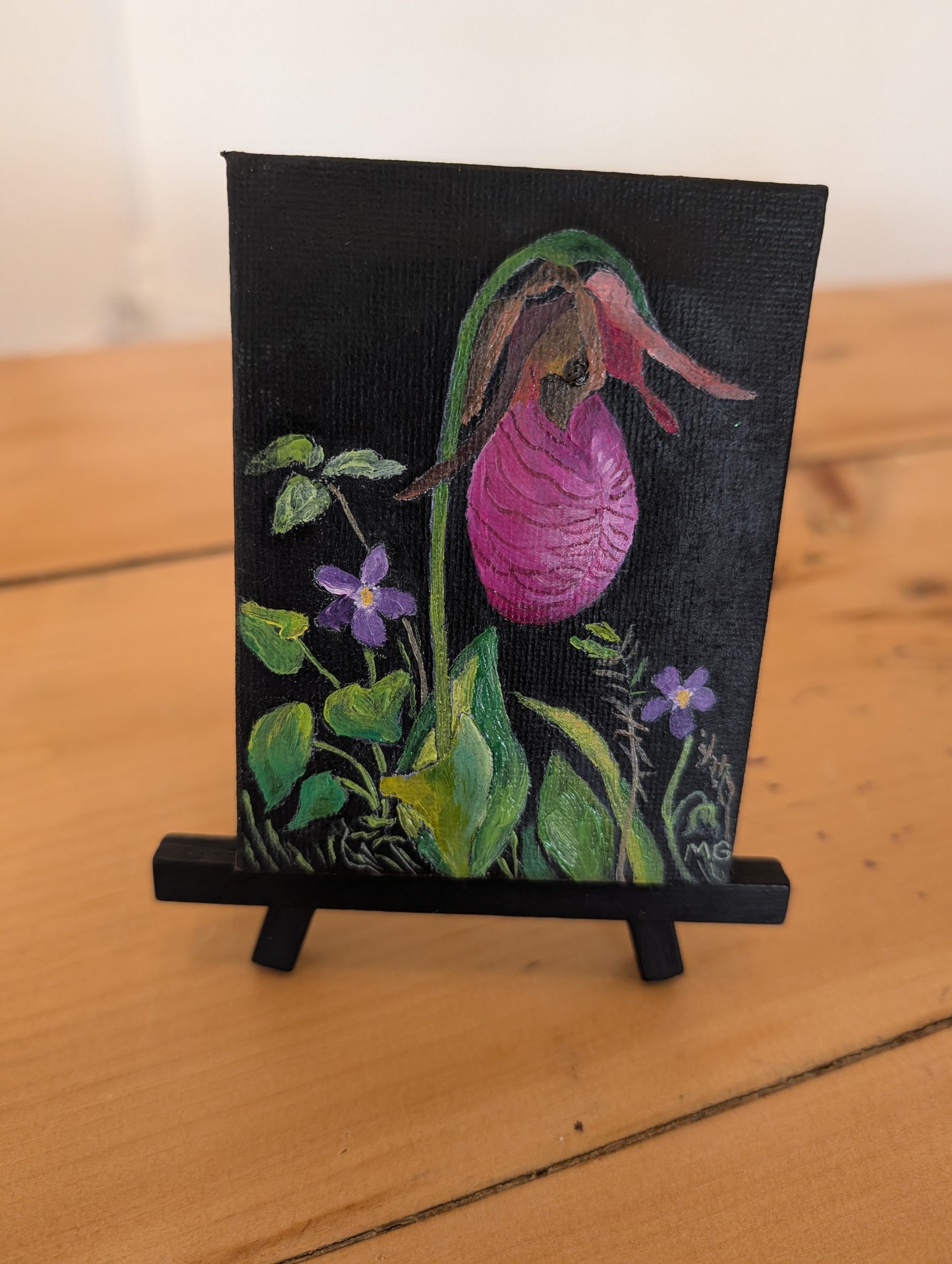 Pink Lady's Slipper