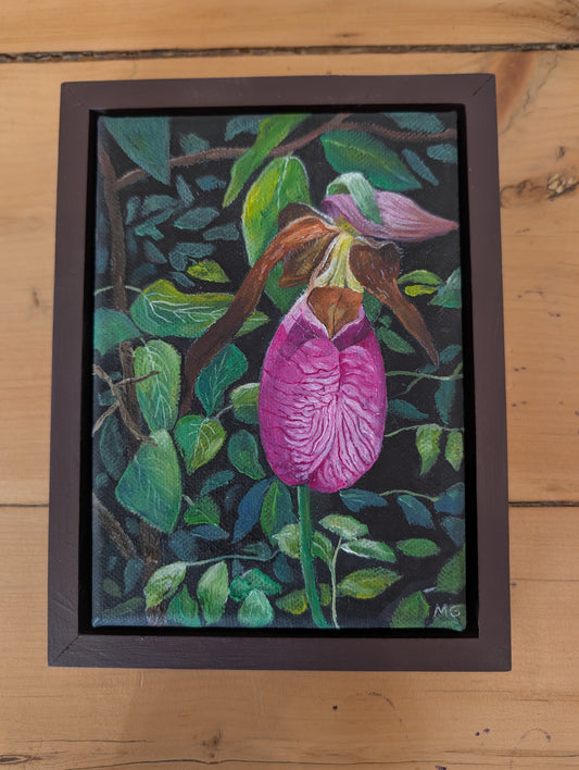 Moccasin Flower