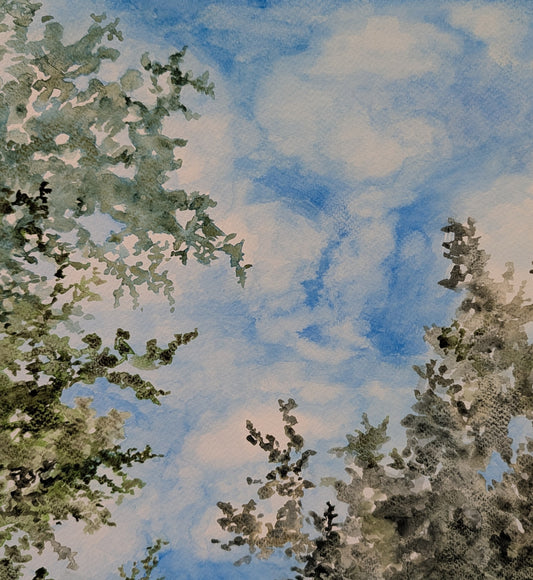Day Dream View ll