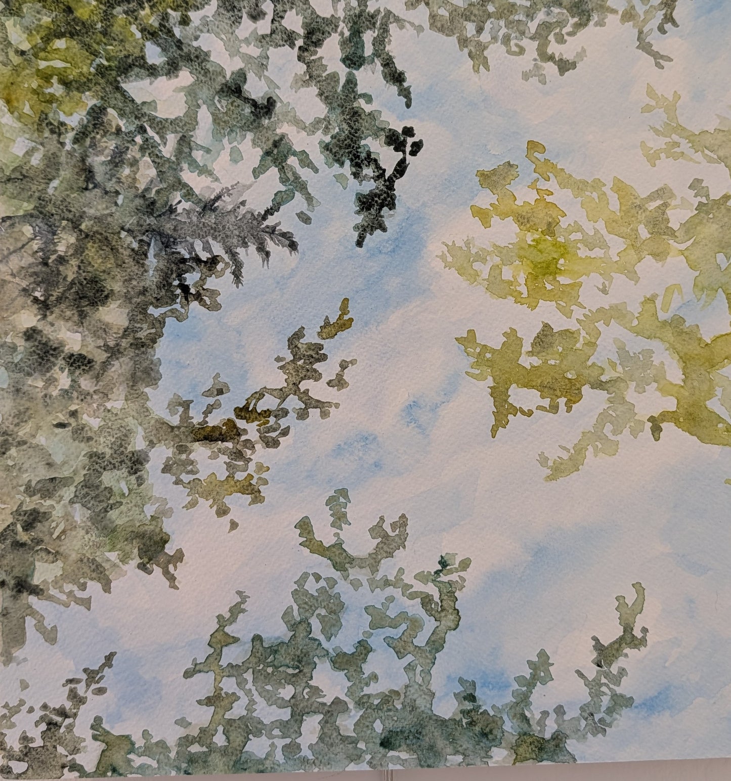 Day Dream View