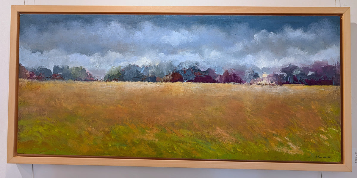 Storm Blowing In