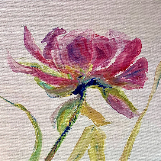 From Sue's Garden