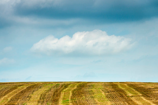 A Storm of Change