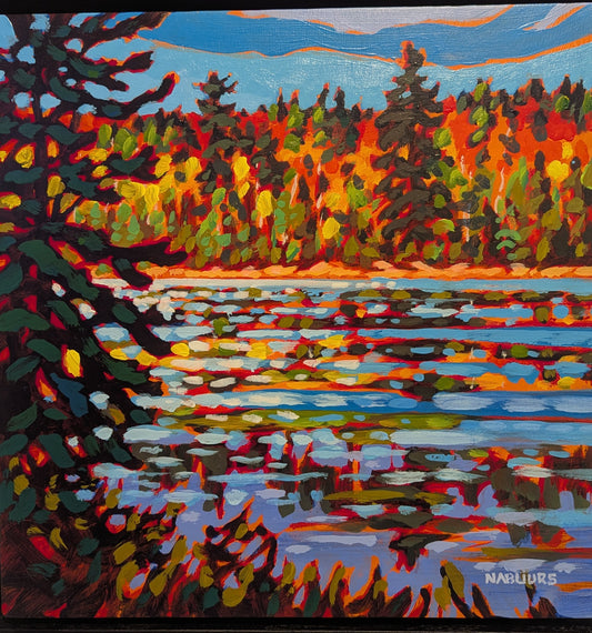 Algonquin Afternoon