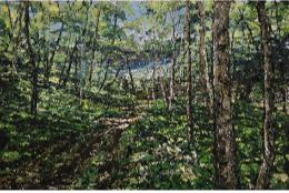 Algonquin Spring