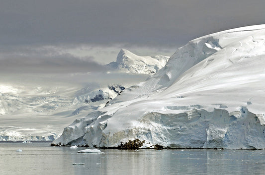 Antarctica #1