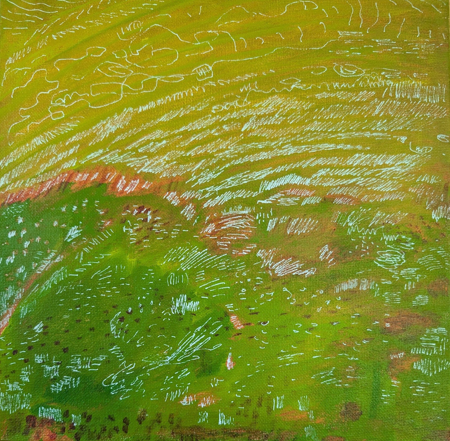 Beach Moss