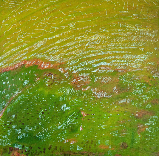 Beach Moss
