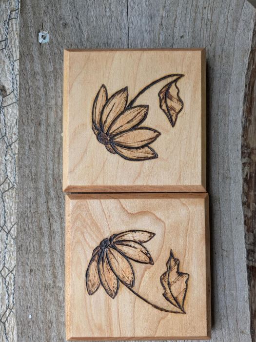 Coasters Black Eye Susans