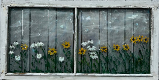 Daisies