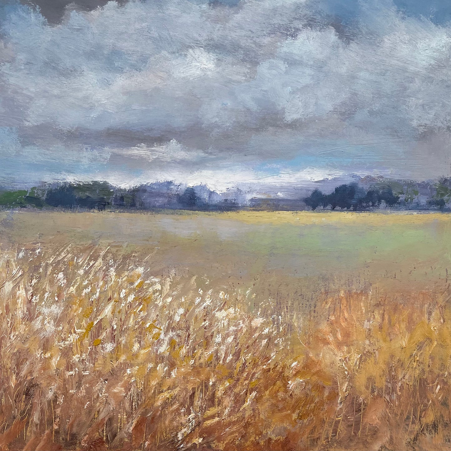 Deep Grass