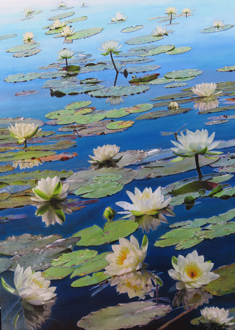 Dragonfly Heaven